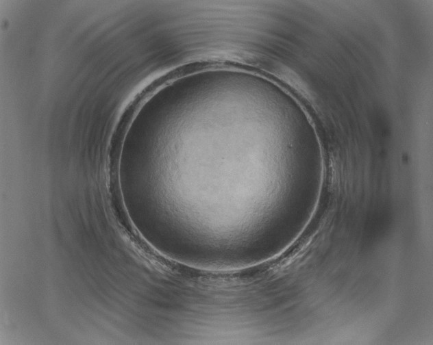 X0000068771020200604281233