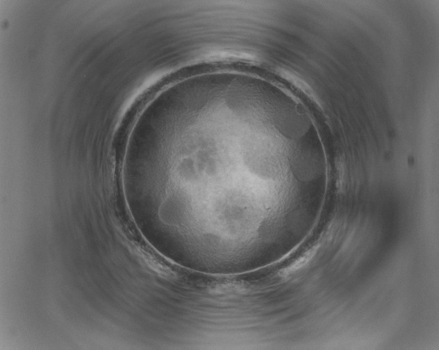 X0000068771021200604281233