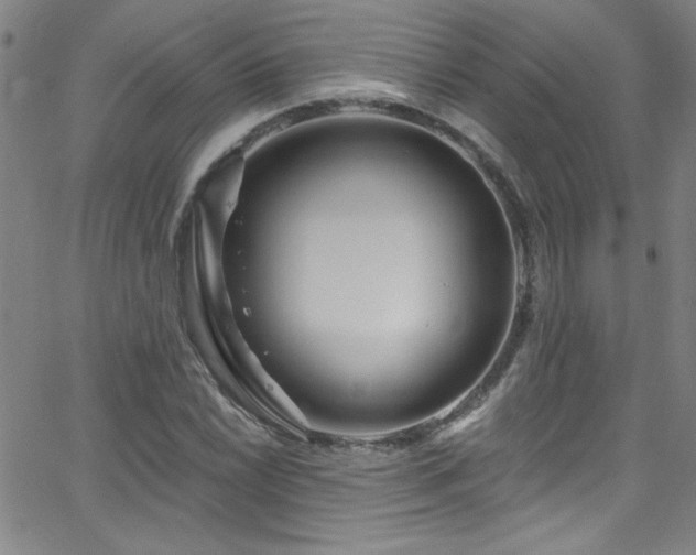 X0000068771022200604281233