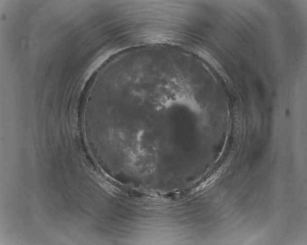 X0000068771023200604281233