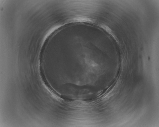 X0000068771024200604281233