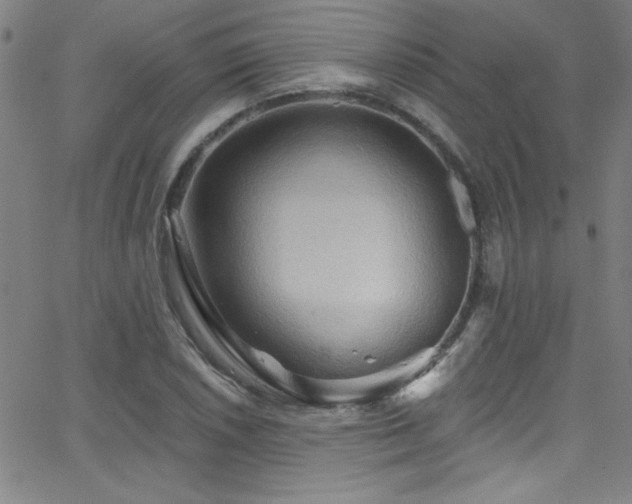 X0000068771026200604281233