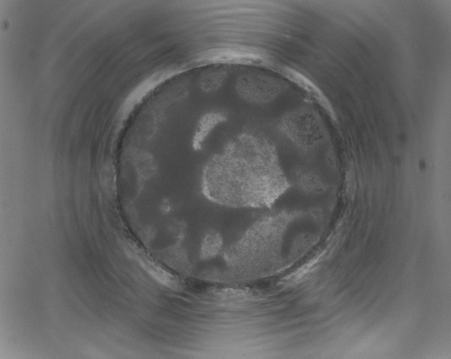 X0000068771027200604281233