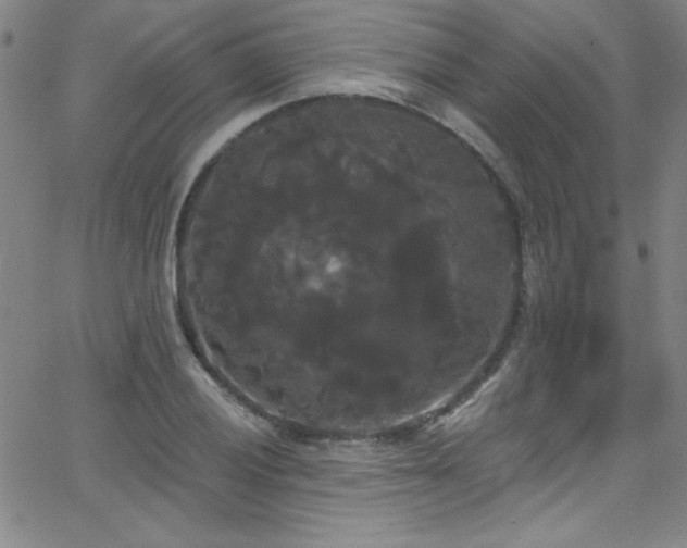 X0000068771028200604281233