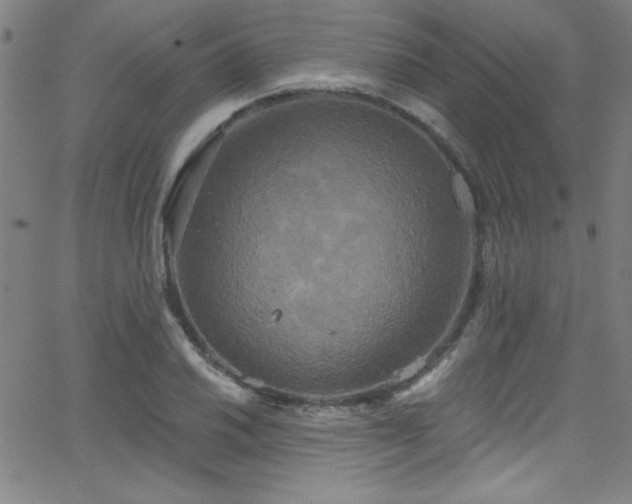 X0000068771030200604281233