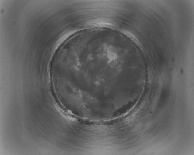 X0000068771031200604281233