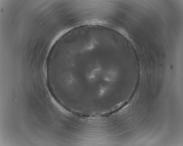 X0000068771032200604281233