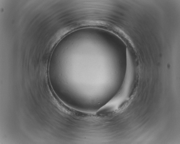 X0000068771033200604281233