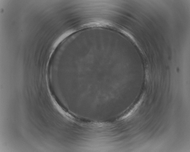 X0000068771034200604281233