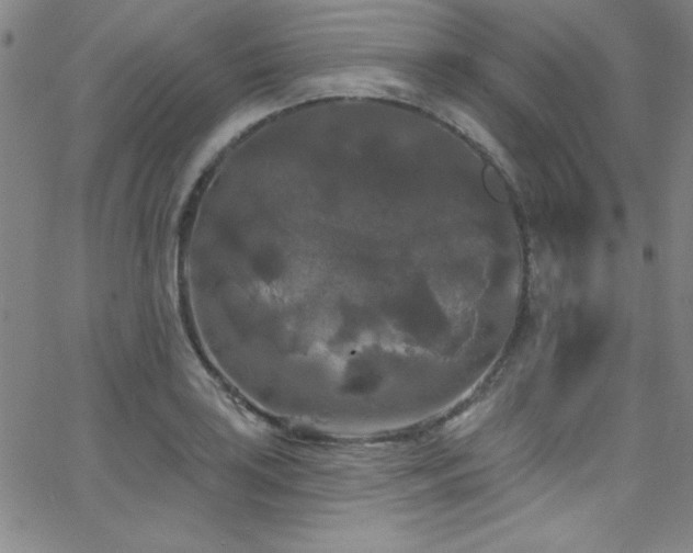 X0000068771035200604281233