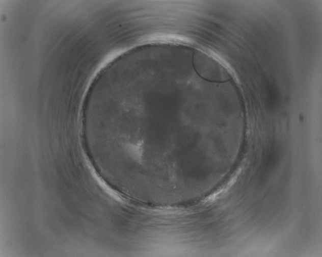 X0000068771037200604281233