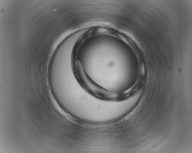 X0000068771038200604281233