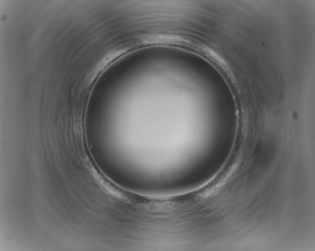 X0000068771041200604281233