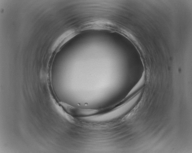 X0000068771042200604281233