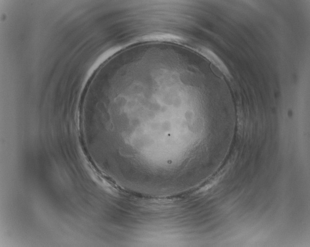 X0000068771044200604281233