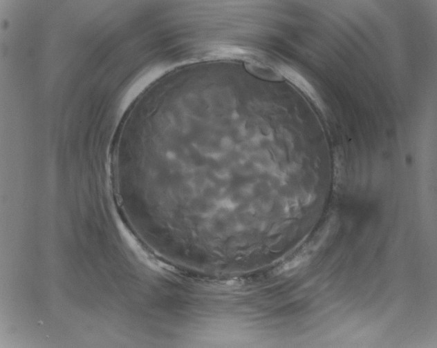 X0000068771047200604281233