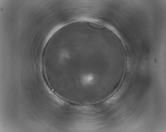 X0000068771048200604281233