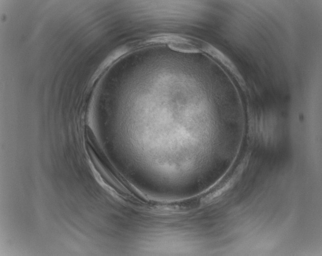 X0000068771049200604281233