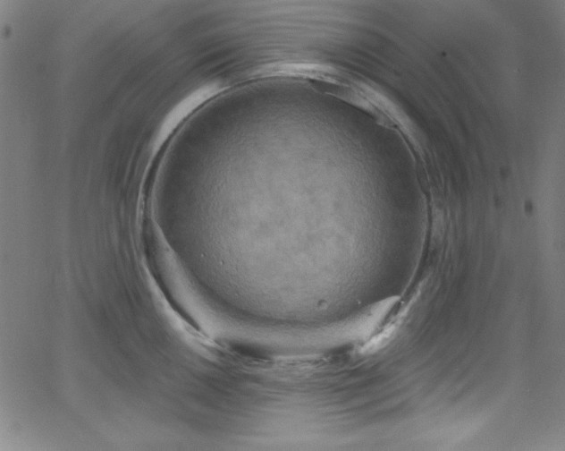 X0000068771050200604281233