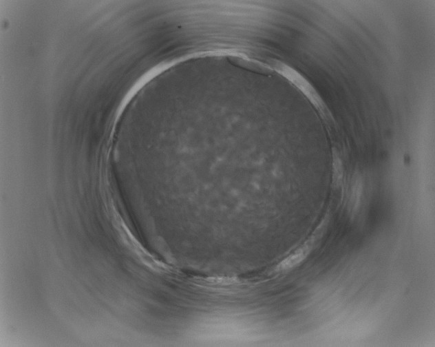 X0000068771052200604281233