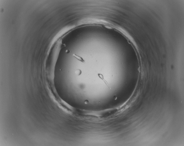 X0000068771053200604281233