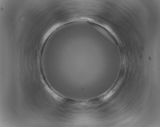 X0000068771054200604281233