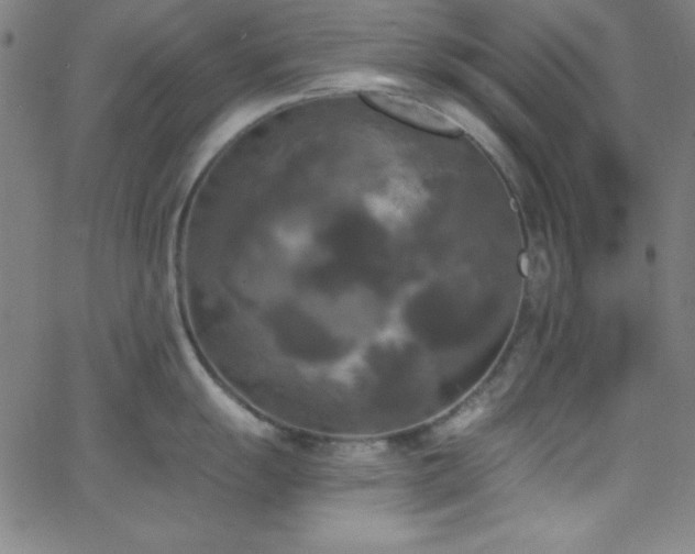 X0000068771055200604281233