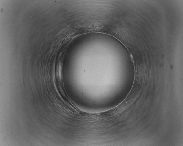 X0000068771058200604281232