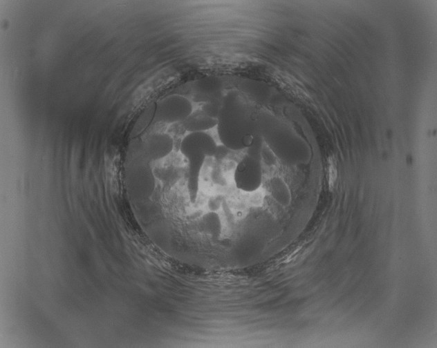 X0000068771059200604281232