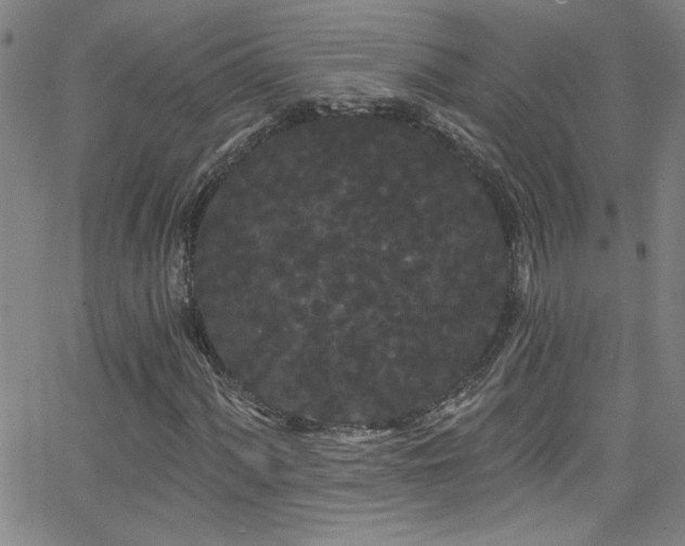 X0000068771060200604281232