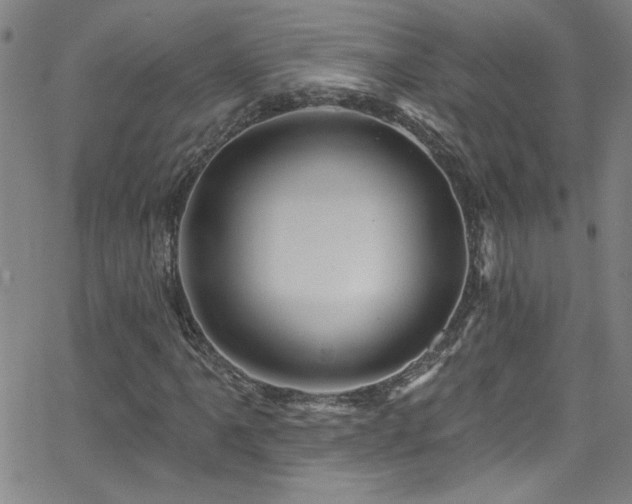 X0000068771061200604281232