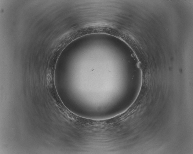 X0000068771062200604281232