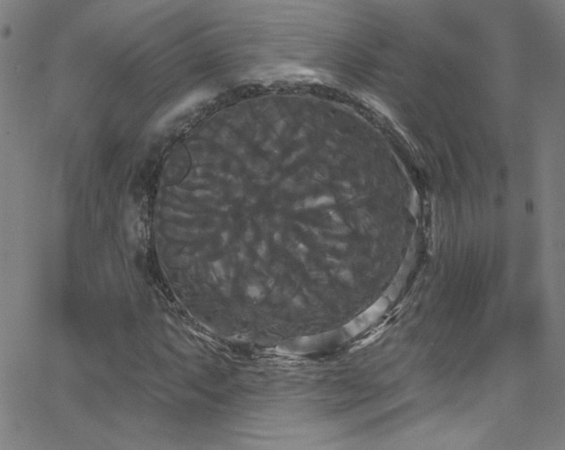 X0000068771063200604281232