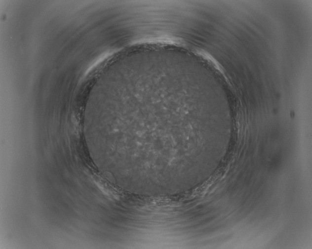 X0000068771064200604281232