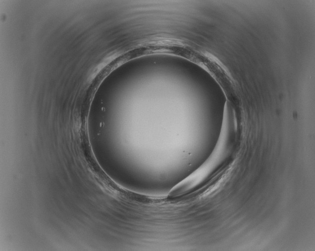 X0000068771065200604281232