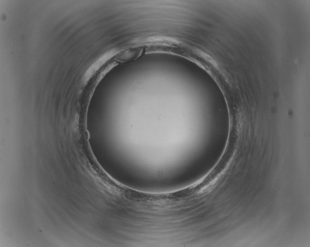 X0000068771066200604281232