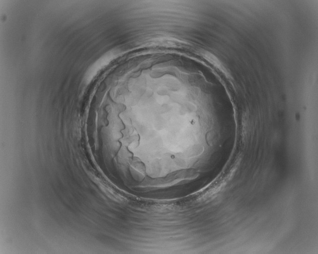 X0000068771067200604281232