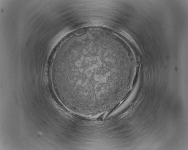 X0000068771068200604281232