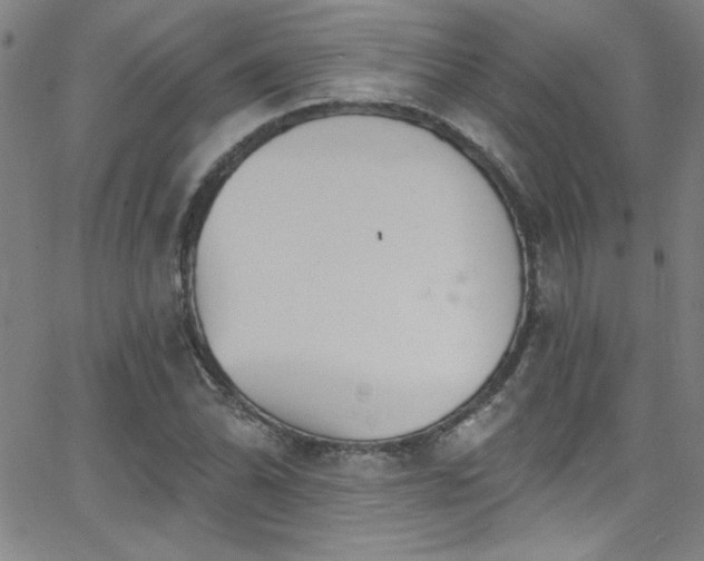 X0000068771070200604281232