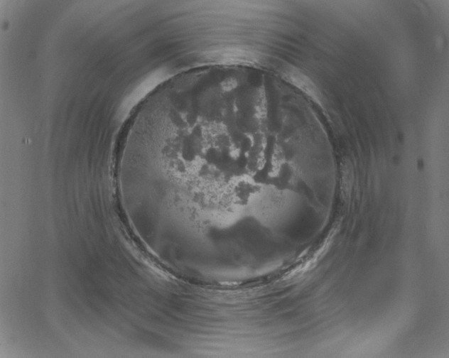 X0000068771071200604281232