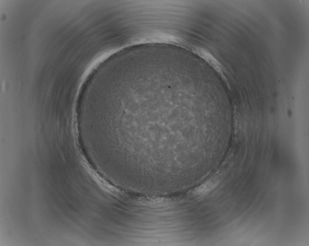 X0000068771072200604281232