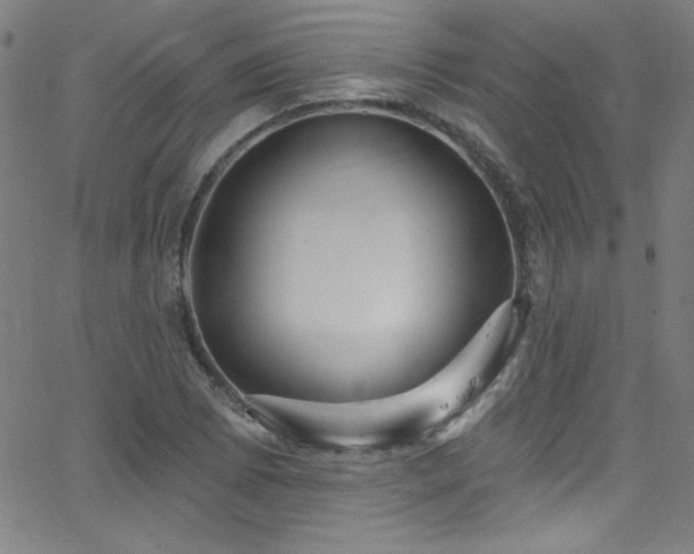 X0000068771073200604281232