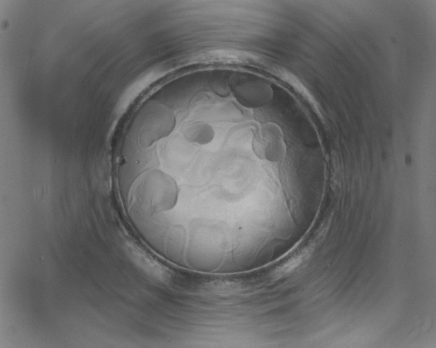 X0000068771075200604281232