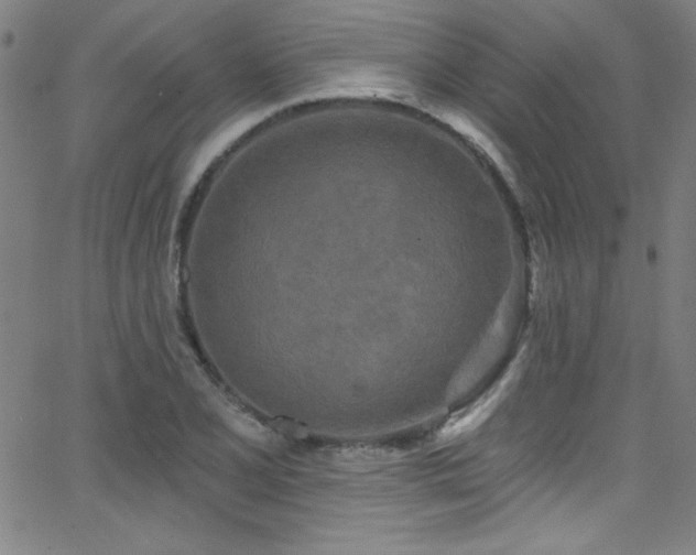 X0000068771077200604281232