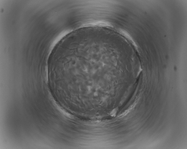 X0000068771079200604281232