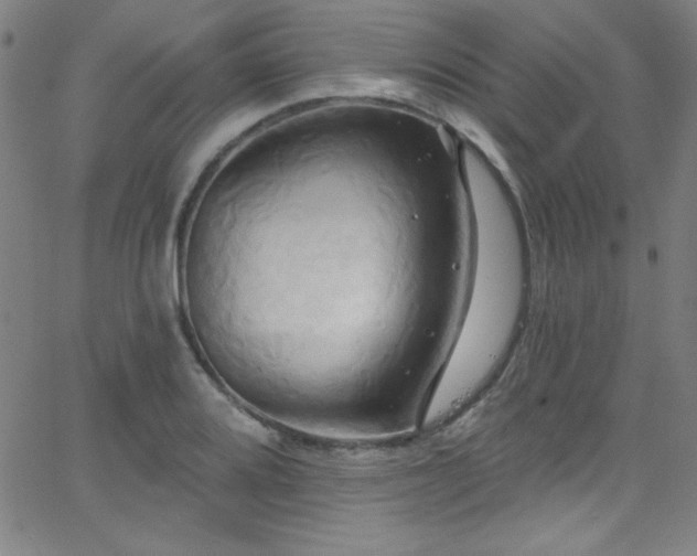 X0000068771080200604281232