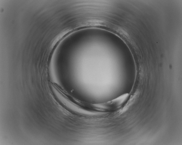 X0000068771081200604281232