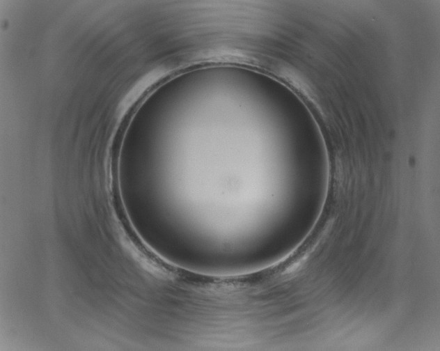 X0000068771082200604281232