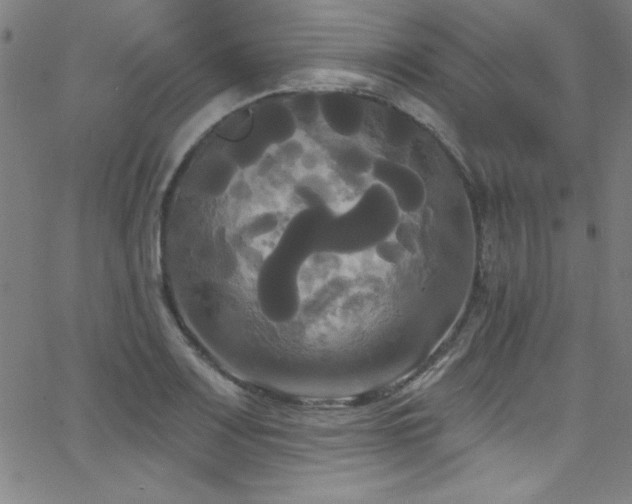 X0000068771083200604281232