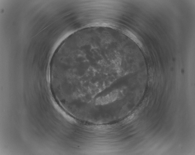 X0000068771084200604281232